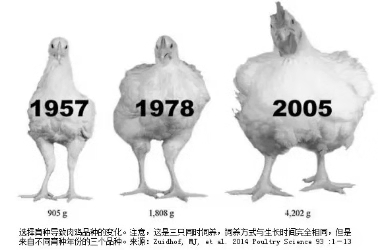 20181103135546 首页- 不朽情缘电子游戏官网