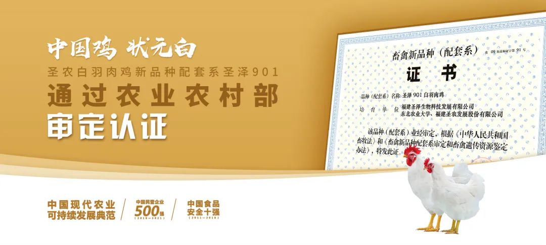 首页- 不朽情缘电子游戏官网