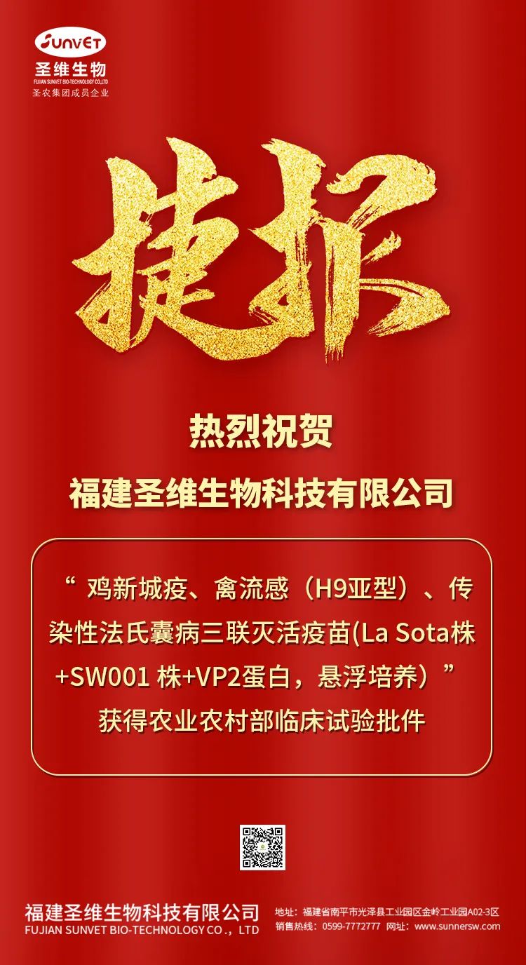 首页- 不朽情缘电子游戏官网