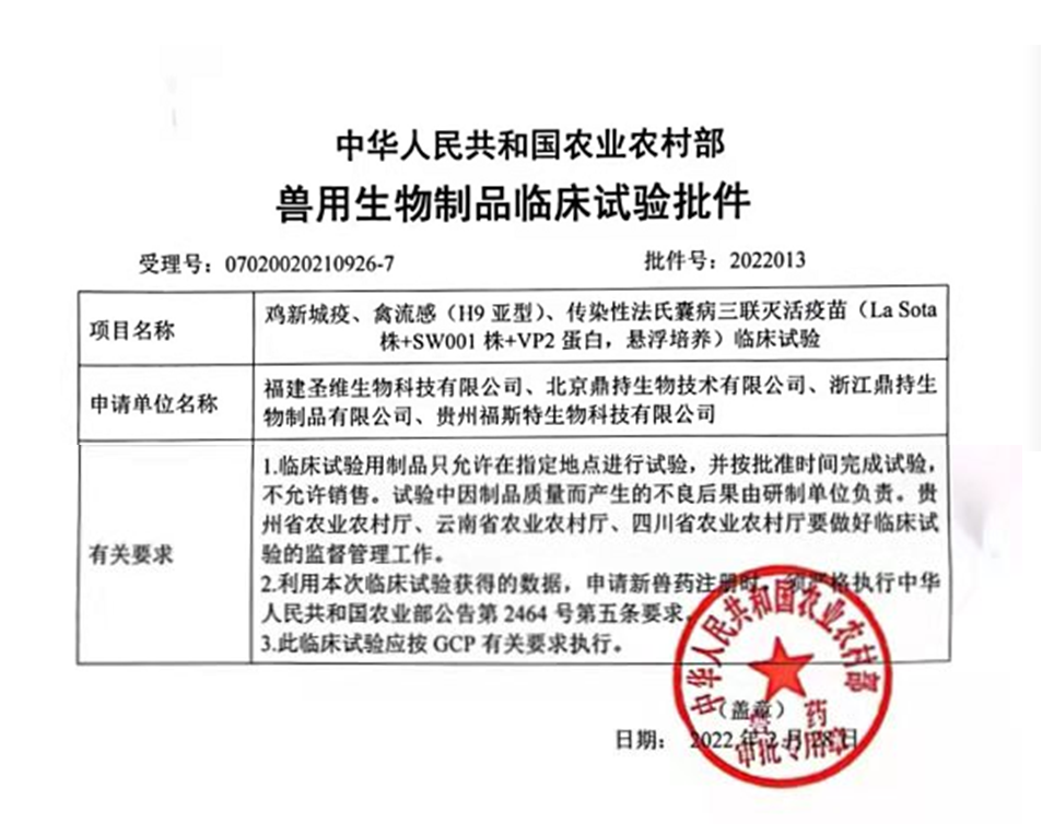首页- 不朽情缘电子游戏官网