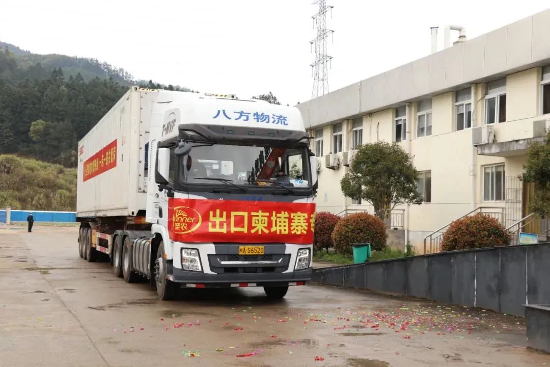 首页- 不朽情缘电子游戏官网