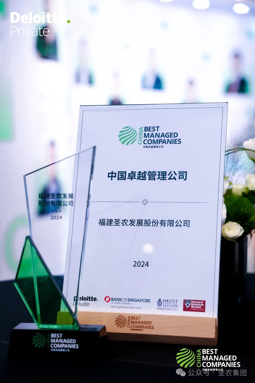 首页- 不朽情缘电子游戏官网