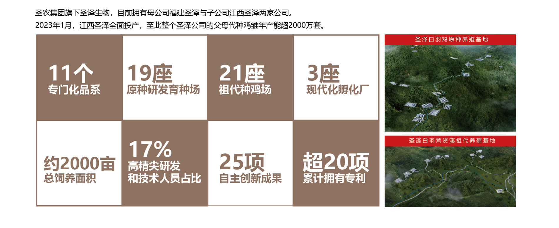 首页- 不朽情缘电子游戏官网